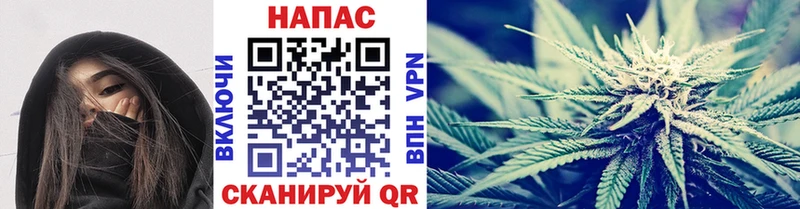 Купить где  Тосно  Конопля тримм 